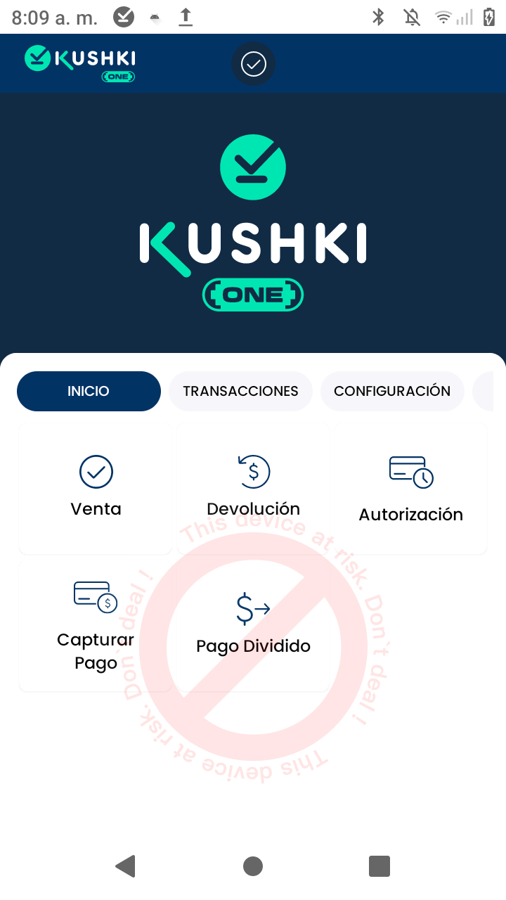 Pago dividido inicio