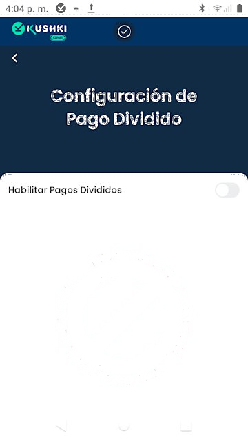 Pago dividido