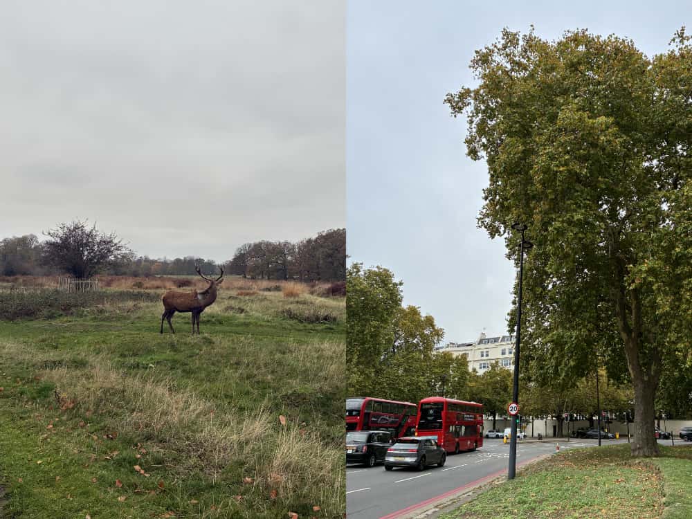 シェアしていただいたたくさんのギャレリー（お写真）ロンドンの様子
