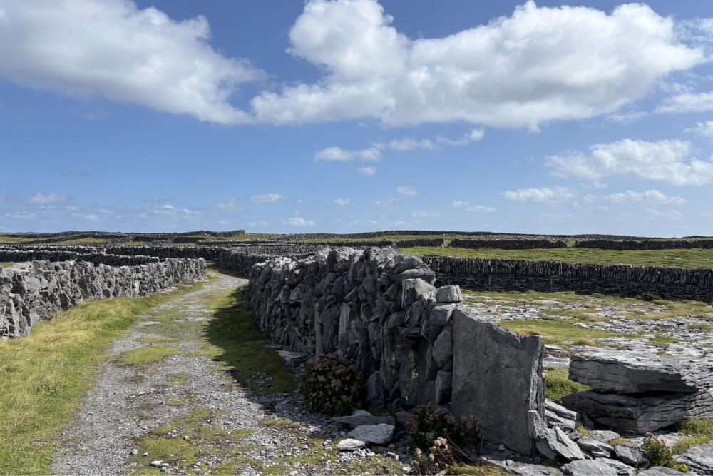 アラン諸島の道｜アイルランド語学研修2025｜ホームステイ in クレア