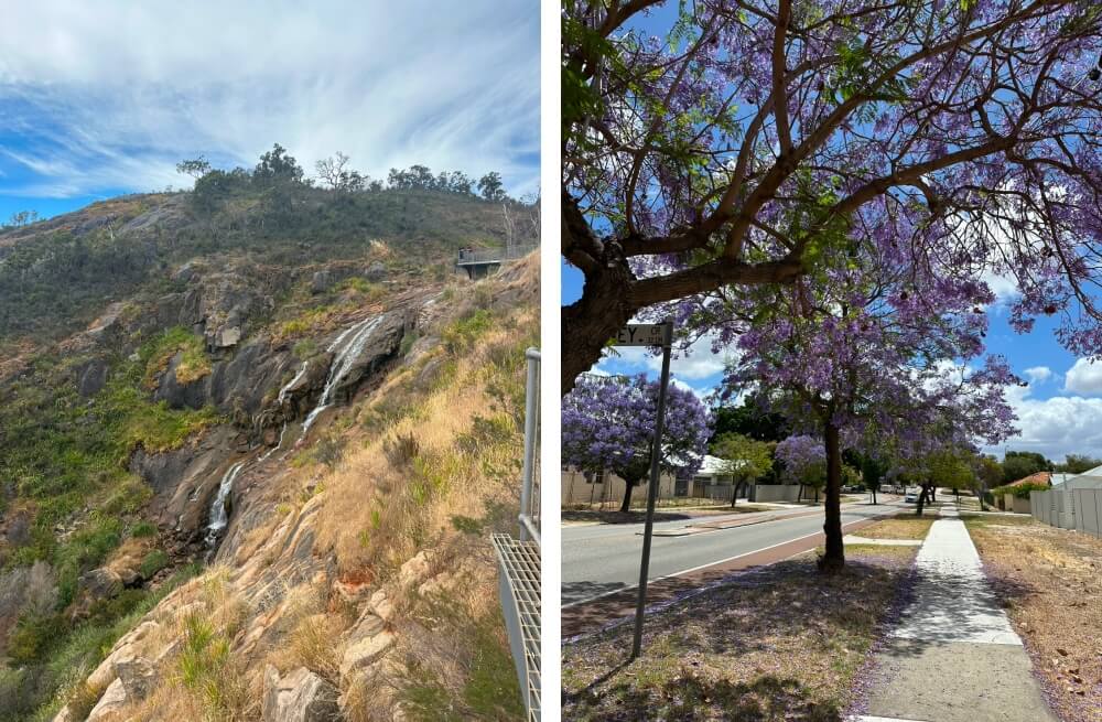 セカンドワーホリが次の目標に｜あの時オーストラリアに行くという選択に後悔はないです｜ワーホリ体験談