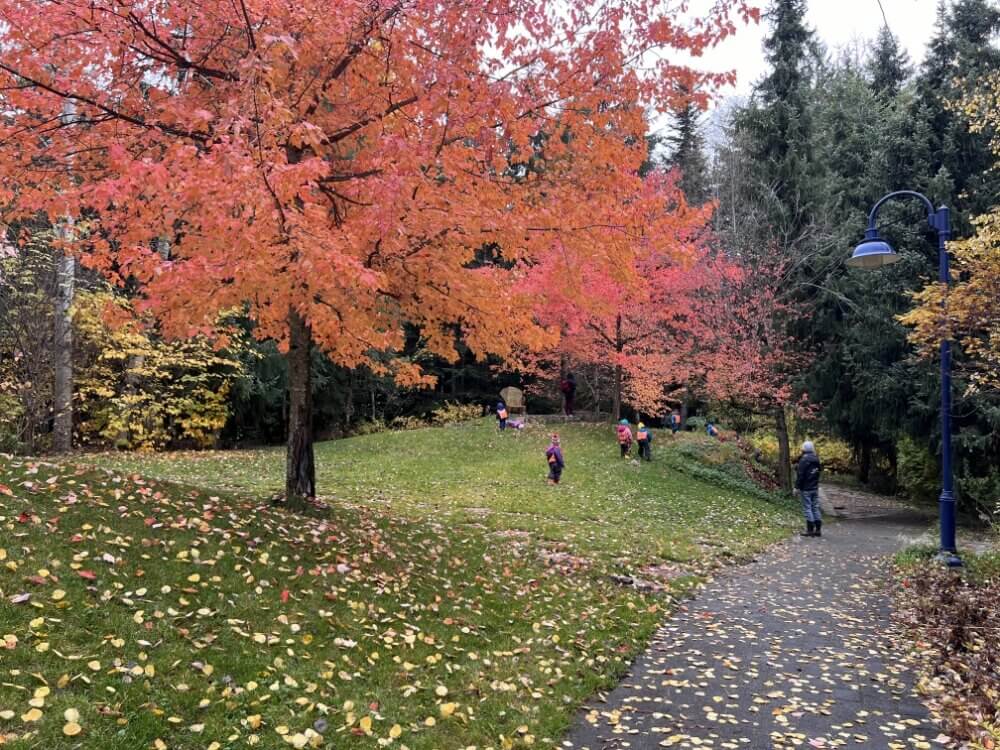 カナダの田舎ウィニペグでの留学生活｜ワーホリ体験談2025