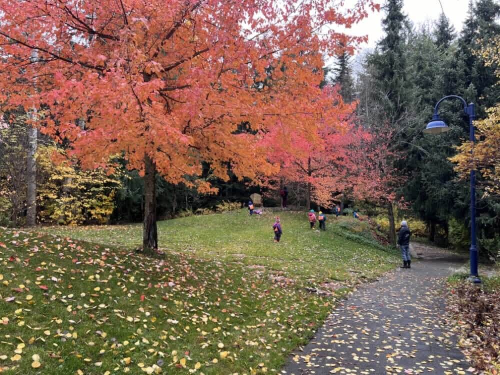 カナダの田舎ウィニペグでの留学生活|ワーホリ体験談2025