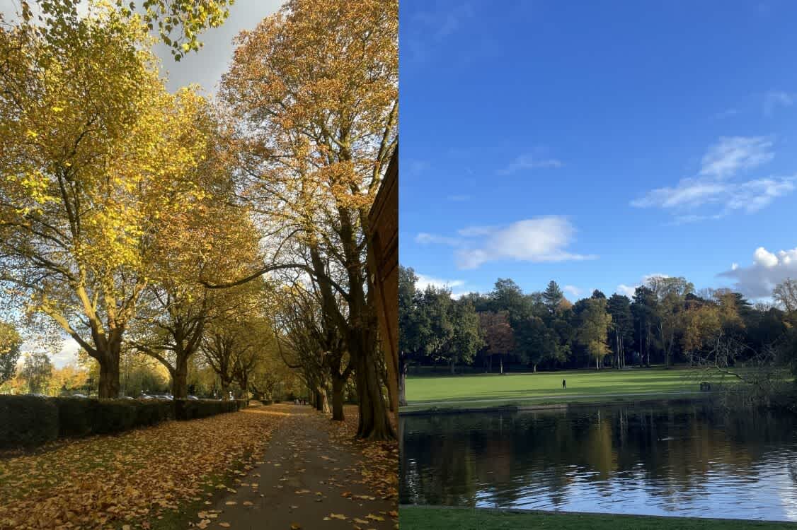 美しい公園や丘がいたるところに|イギリス|休日の過ごし方