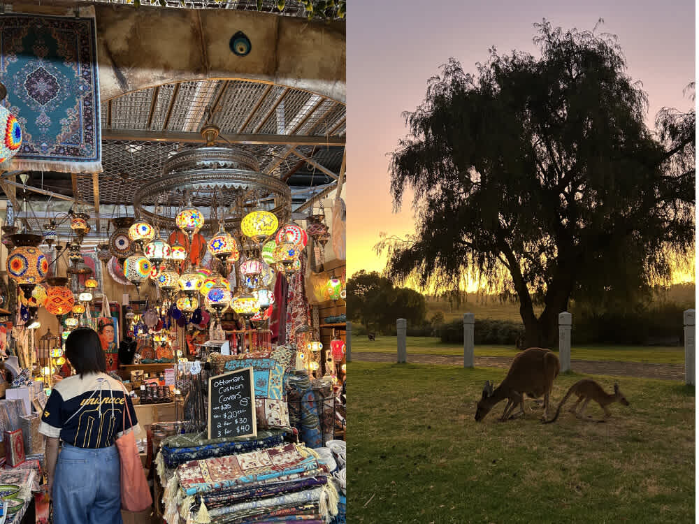 お仕事について|オーストラリアワーホリ体験談|チャレンジがもたらす充実!