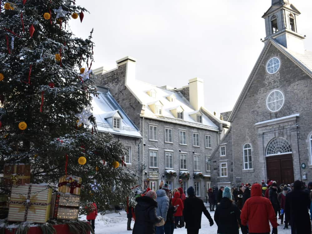 カナダ留学におすすめの都市｜人気都市を目的別に比較