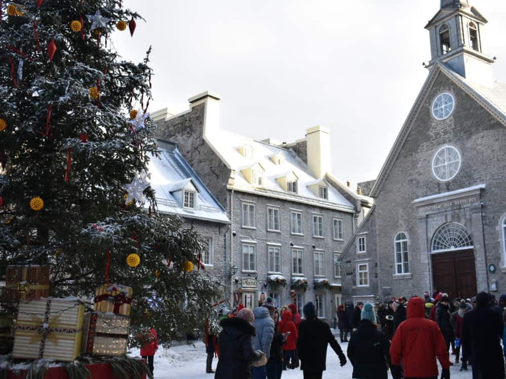 カナダ留学におすすめの都市|人気都市を目的別に比較