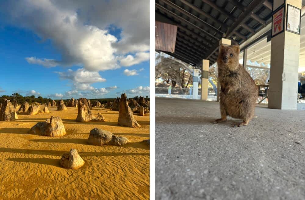 学校終了後はファームジョブに|あの時オーストラリアに行くという選択に後悔はないです|ワーホリ体験談