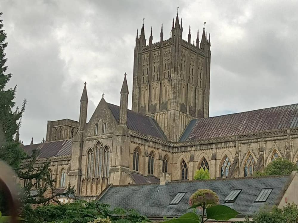 将来は海外で働きたい！とても良い経験になった｜9歳（小4）Kくん