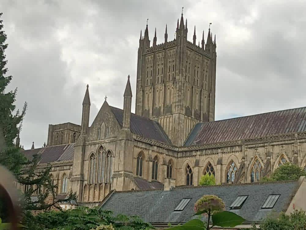 将来は海外で働きたい!とても良い経験になった|9歳(小4)Kくん