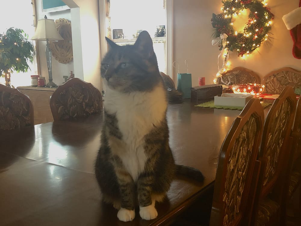 カナダホームステイ