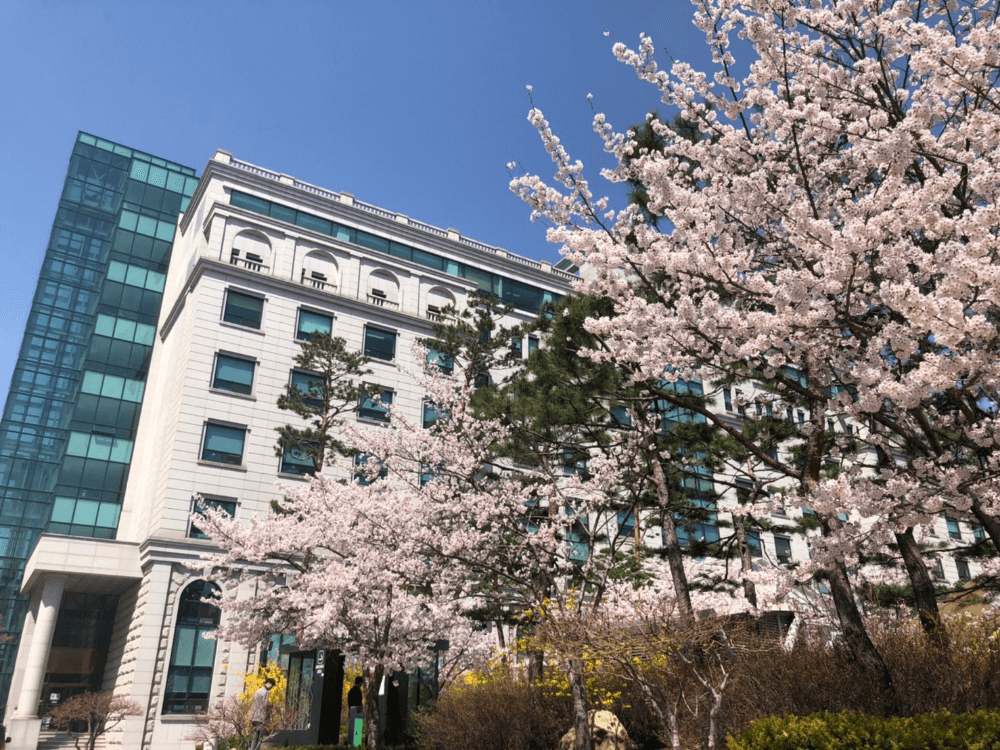 韓国留学の様子02
