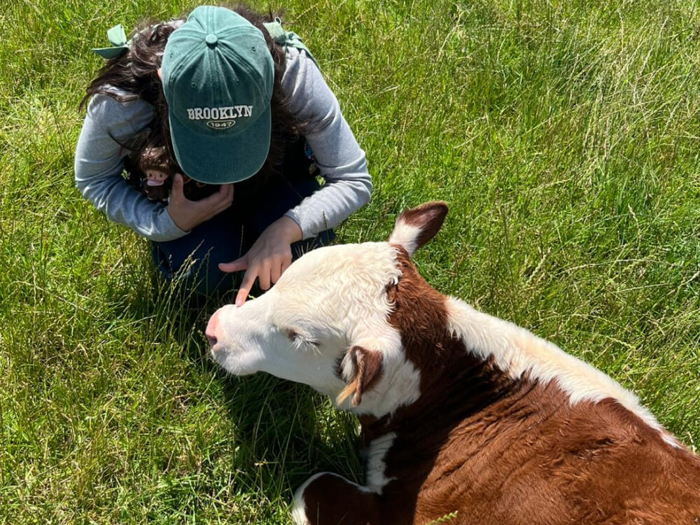 英語が話せない状態での渡航、それでも行って良かった！｜ニュージーランドワーホリ体験談