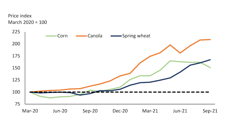 Chart showing average monthly prices for Saskatchewan canola and spring wheat and Ontario corn.
