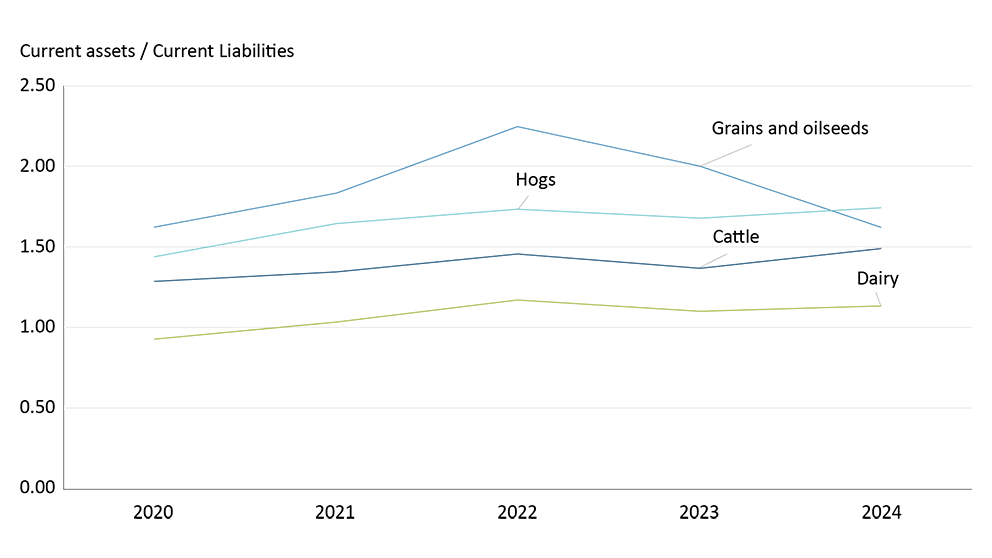 Graph depicting the average current ratio for dairy, hog, cattle, grains and oilseeds operations from 2020-2024.
