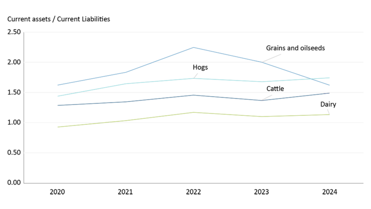 Graph depicting the average current ratio for dairy, hog, cattle, grains and oilseeds operations from 2020-2024.