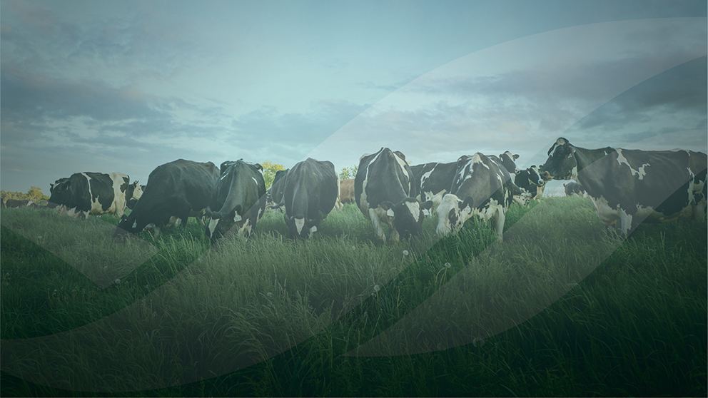 Dairy Farmers of Canada and Lactanet