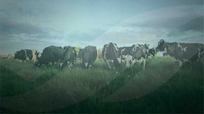 Dairy Farmers of Canada and Lactanet
