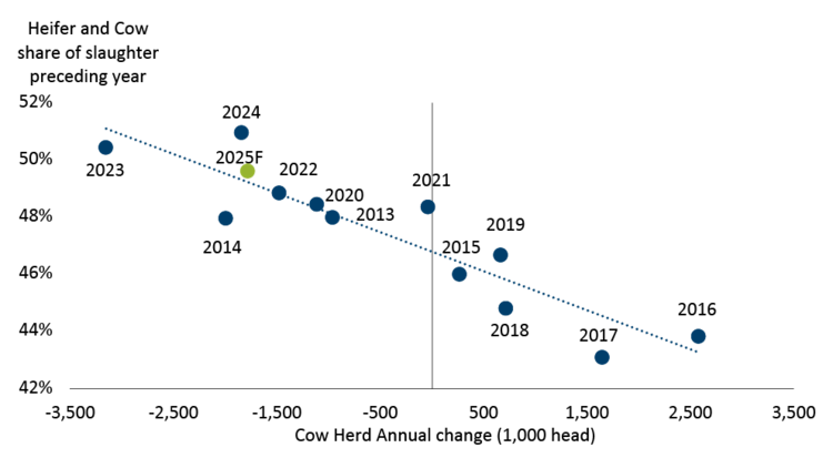 Figure showing relationship between annual change in cow herd size and heifer-cow share of total slaughter preceding year.