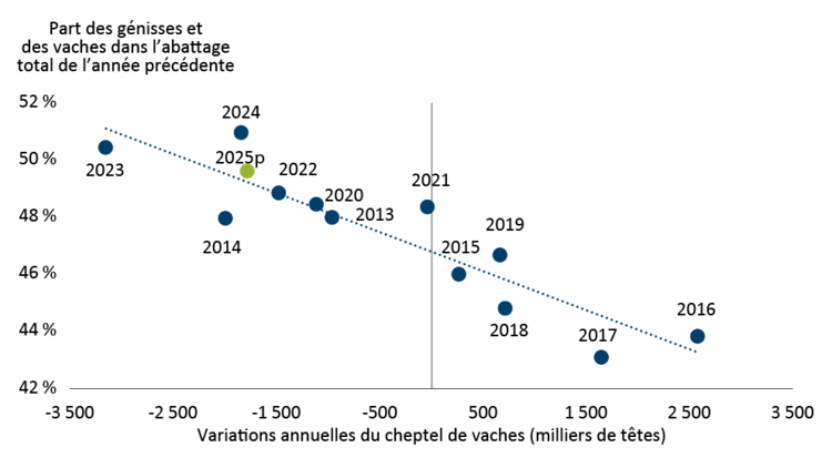 Graphique montrant la relation entre la variation annuelle de la taille du cheptel de vaches et la proportion de génisses et de vaches dans l’abattage total de l’année précédente.