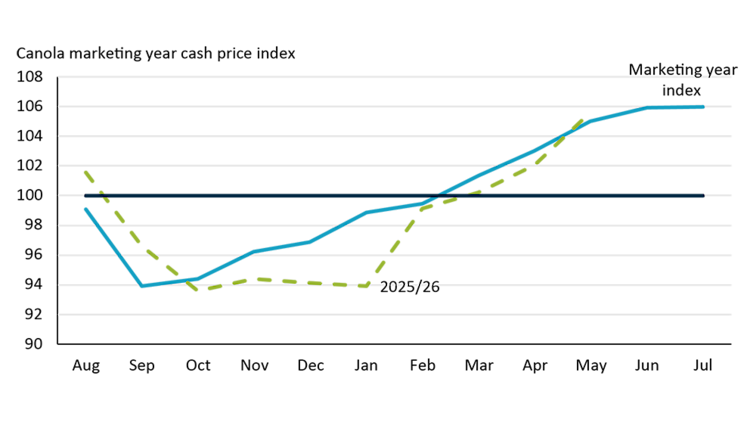 Line chart showing how canola prices in Saskatchewan usually dip at harvest time in September before rising the rest of the year reaching a peak in July. 2025/26 marketing year closely matches the historical pattern.