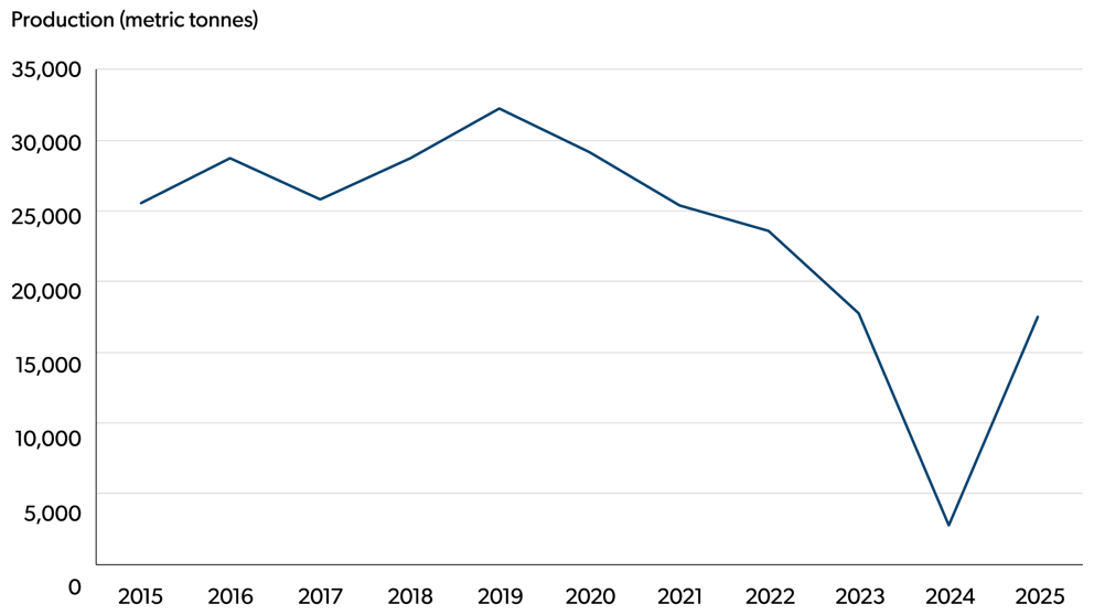 Line chart showing production in metric tonnes from 2015 to 2025 for vinifera grapes in British Columbia. Production dropped sharply in 2024 and rebounded in 2025 to levels similar in 2023.
