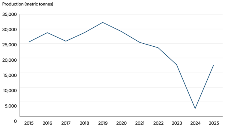 Line chart showing production in metric tonnes from 2015 to 2025 for vinifera grapes in British Columbia. Production dropped sharply in 2024 and rebounded in 2025 to levels similar in 2023.