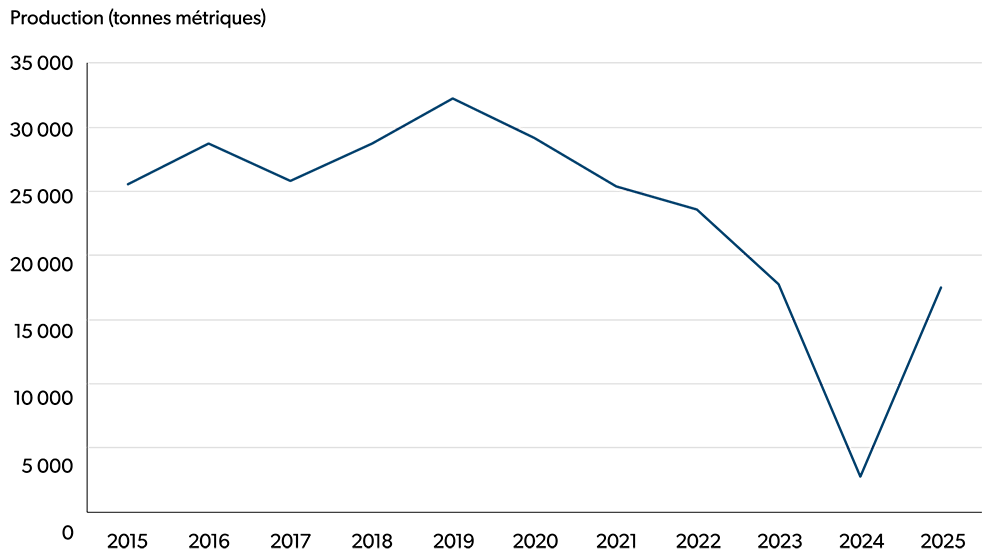 Graphique linéaire illustrant la production en tonnes métriques de raisins de l’espèce vinifera en Colombie-Britannique pour la période de 2015 à 2025. La production a chuté de beaucoup en 2024, puis a rebondi en 2025 pour atteindre des niveaux similaires à ceux de 2023.
