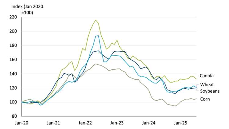 A line chart showing cash prices for canola, soybeans, wheat, and corn indexed to January 2020. Prices increased sharply peaking in 2022 but have since returned to levels 10-40% higher than 2022.