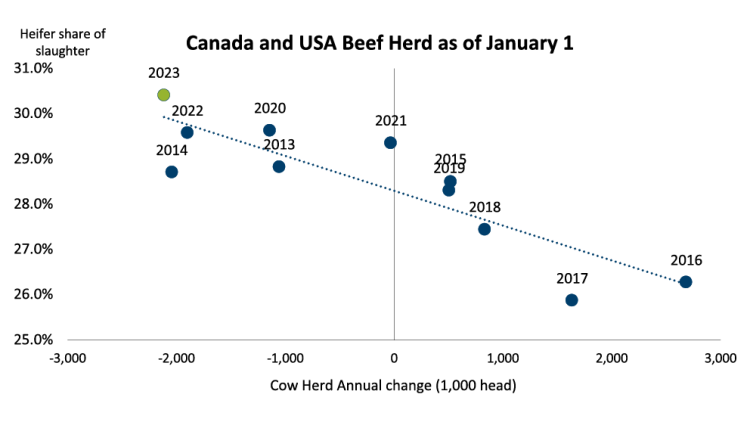 Chart showing Figure 8: North American cattle herd set for contraction
