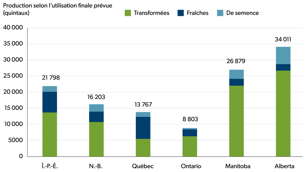 Graphique à barres empilées illustrant la production de pommes de terre selon l’usage final prévu (transformation, consommation de pommes de terre fraîches et semences) dans les principales provinces productrices, mesurée en quintaux.
