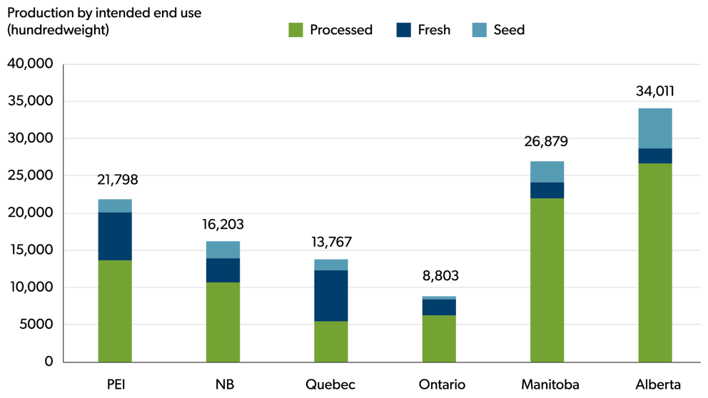 Stacked bar chart showing potato production by intended end use: processed, fresh, and seed, across major producing provinces. Manitoba and Alberta have the highest total production and the largest share going to processing, while PEI, New Brunswick, Quebec, and Ontario have smaller totals and a higher proportion of fresh and seed potatoes.
