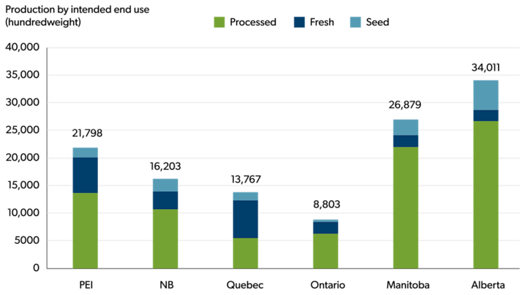 Stacked bar chart showing potato production by intended end use: processed, fresh, and seed, across major producing provinces. Manitoba and Alberta have the highest total production and the largest share going to processing, while PEI, New Brunswick, Quebec, and Ontario have smaller totals and a higher proportion of fresh and seed potatoes.