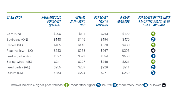 Chart showing grains and oilseeds prices are stronger than the 5-year average, while pulse prices remain weaker.
