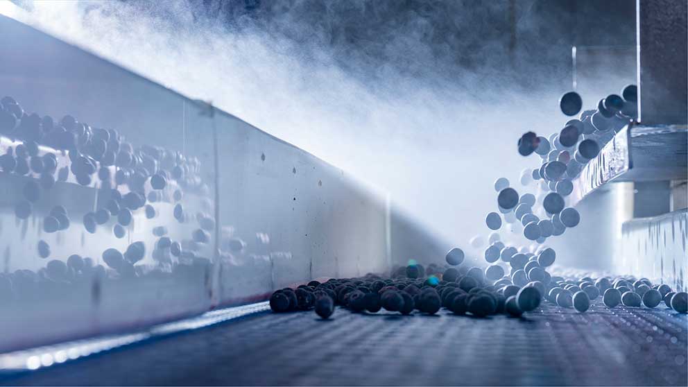 FCC Food & Beverage Report