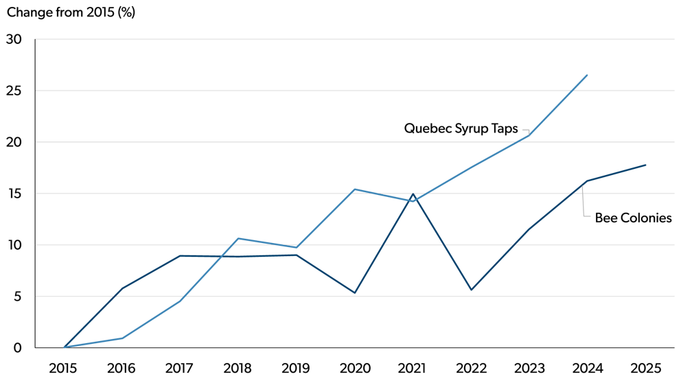Line chart showing percentage change since 2015 in Quebec maple syrup tap capacity and the number of bee colonies. Maple syrup taps increase steadily over the decade, while bee colonies also trend upward with some year‑to‑year variation.
