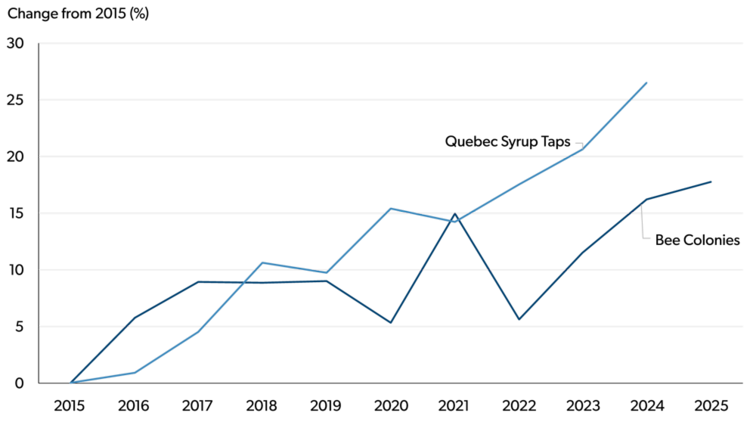 Line chart showing percentage change since 2015 in Quebec maple syrup tap capacity and the number of bee colonies. Maple syrup taps increase steadily over the decade, while bee colonies also trend upward with some year‑to‑year variation.