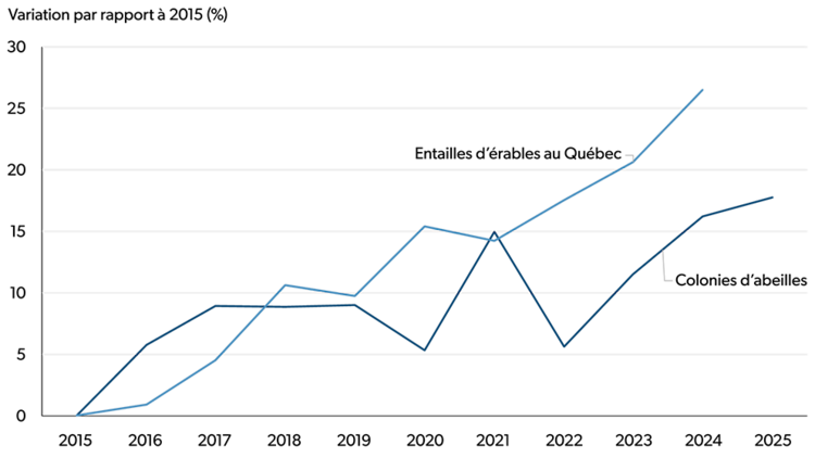 Graphique linéaire illustrant les variations en pourcentage, entre 2015 et 2024, du nombre d’entailles d’érables au Québec et, entre 2015 et 2025, du nombre de colonies d’abeilles au Canada.
