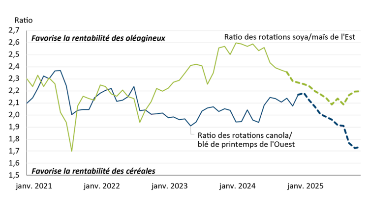 Graphique linéaire montrant le ratio des prix observés pour le soya de l’Est du Canada divisé par le maïs et le canola de l’Ouest du Canada divisé par le blé de printemps entre janvier 2021 et décembre 2024, et les prix prévus jusqu’en décembre 2025.
