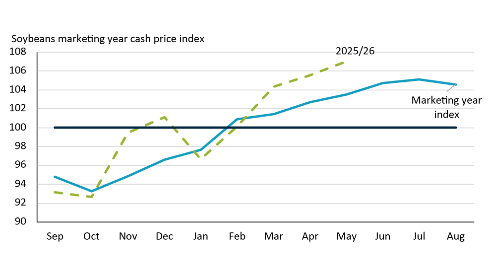 Line chart showing how soybean prices in Ontario usually dip at harvest time in October before rising the rest of the year reaching a peak in July. The 2025/26 marketing year has not followed the historical pattern very closely, especially relative to other major commodities.
