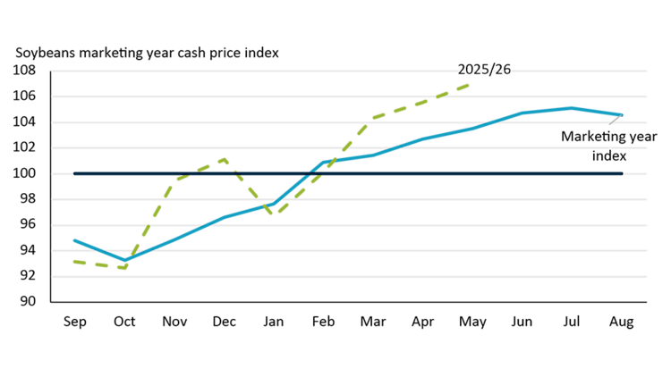 Line chart showing how soybean prices in Ontario usually dip at harvest time in October before rising the rest of the year reaching a peak in July. The 2025/26 marketing year has not followed the historical pattern very closely, especially relative to other major commodities.