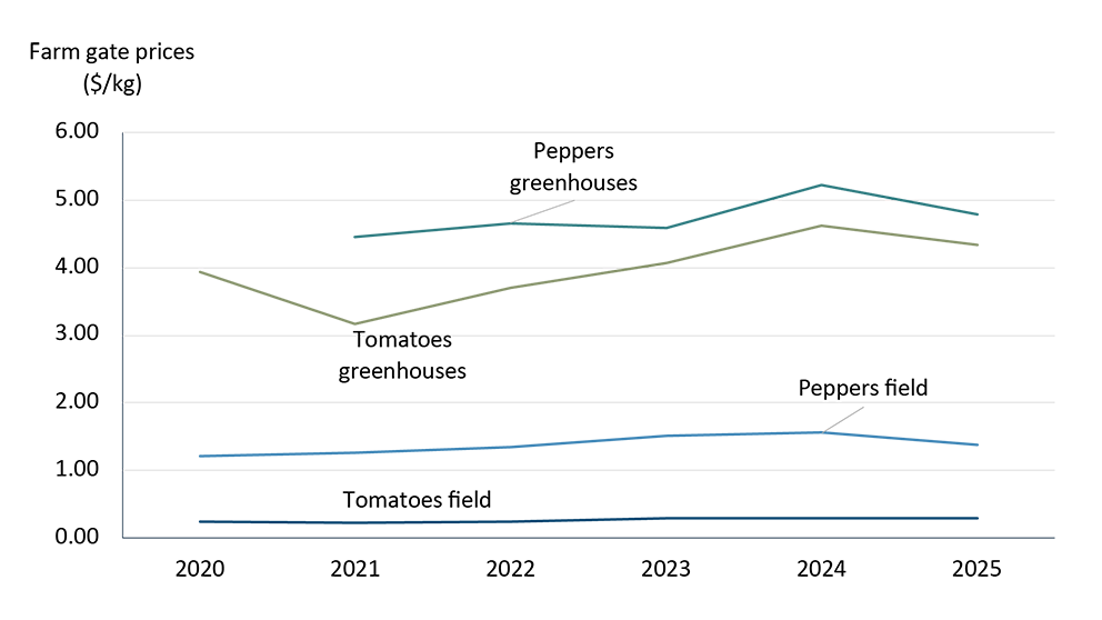 Line chart comparing farm-gate prices for greenhouse and field tomatoes and peppers from 2020 to 2025. Greenhouse prices are generally higher than field prices, especially for peppers, highlighting the higher-value nature of greenhouse production.
