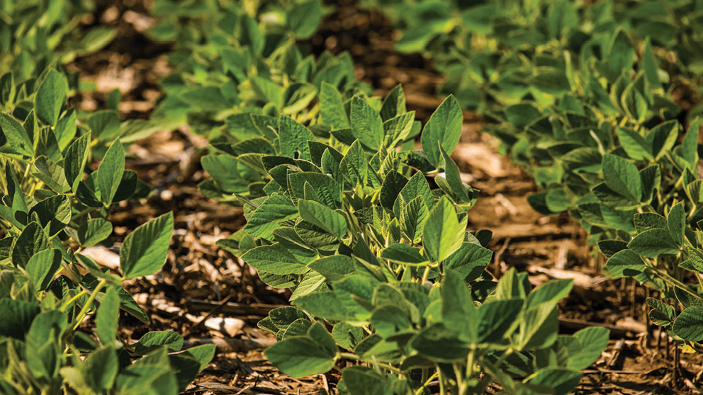 FCC Farmland Values Report