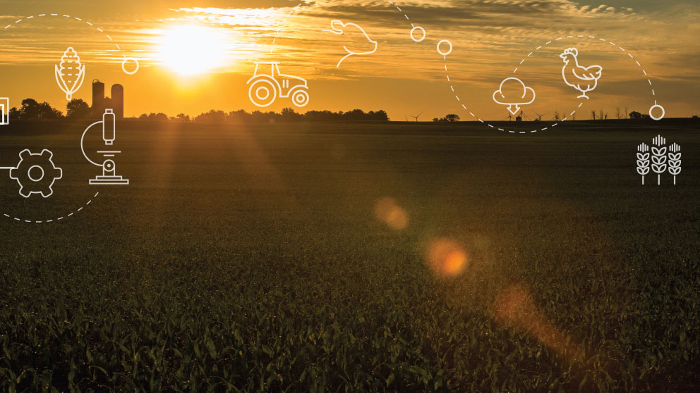 Devenez membre de notre groupe consultatif national sur l’agriculture.