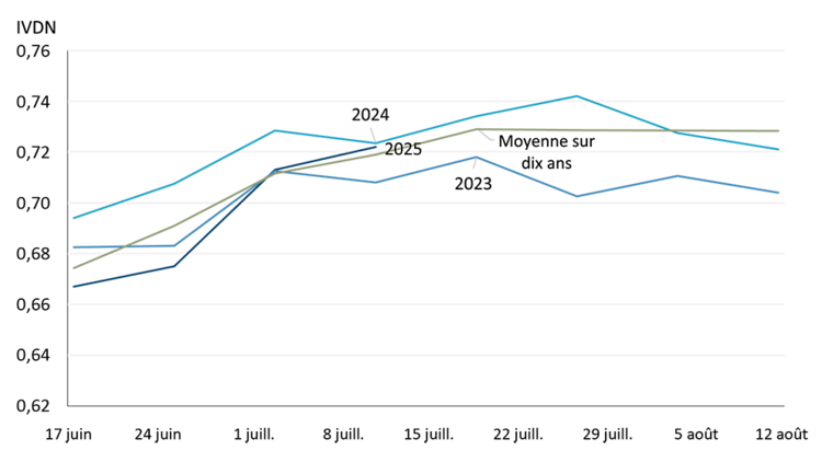 Le graphique montre les mesures de densité de la végétation au cours des années de récolte 2015 à 2024 (moyenne), ainsi que des années de récolte 2023, 2024 et 2025 en Alberta, en Saskatchewan et au Manitoba.