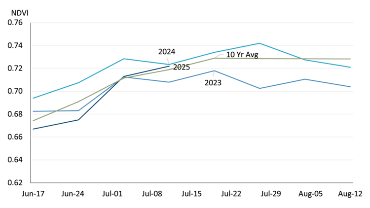 A chart showing vegetation density measures for the 2015-2024 crop years (average), and the 2023, 2024 and 2025 crops in Quebec and Ontario.