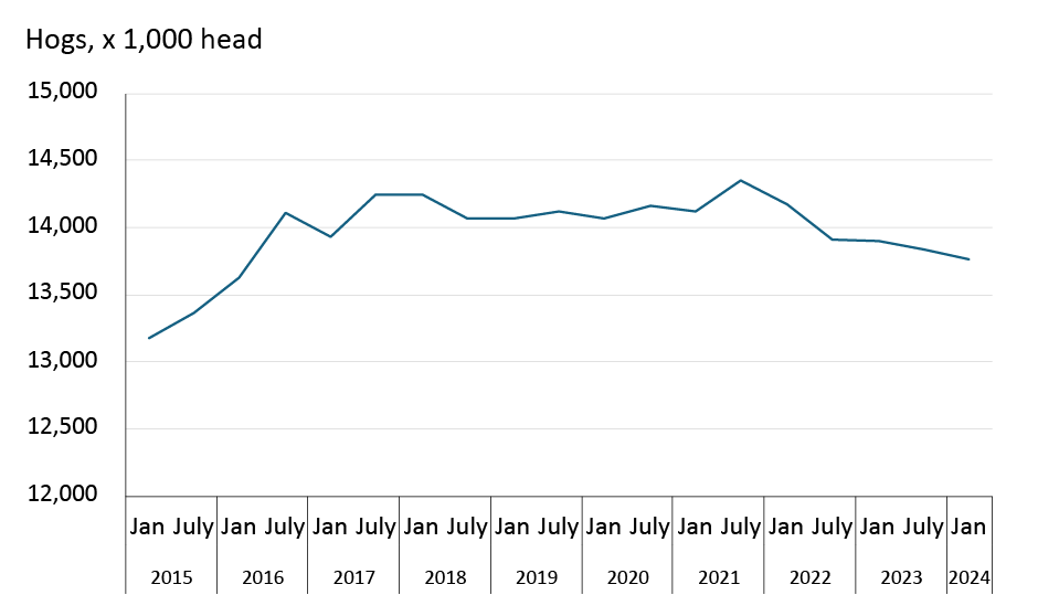 A Line Chart Showing Canada’s Hog Inventories Between January 2015 And ...