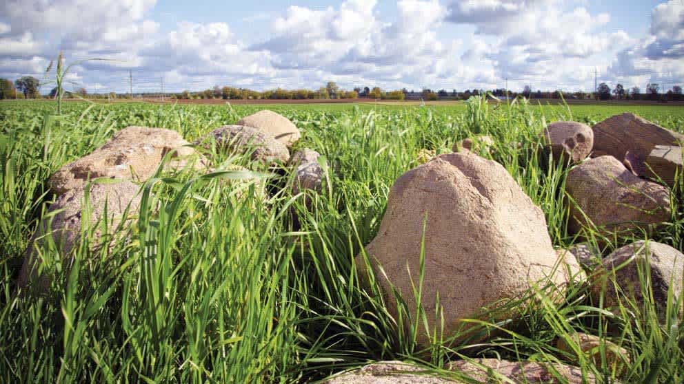 Adapted from an FCC Edge Podcast with Kevin Stewart