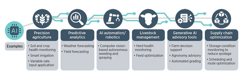 Examples of AI implementation in Canadian agriculture.

Precision agriculture: soil and crop health monitoring, smart irrigation, variable-rate input application.

Predictive analytics: weather forecasting, yield forecasting.

AI automation / robotics: computer vision-based autonomous weeding and spraying.

Livestock management: herd health monitoring, feed optimization.

Generative AI advisory tools: farm decision support, agronomy advisory, automated grading.

Supply chain optimization: storage condition monitoring to reduce spoilage, scheduling and route optimization.
