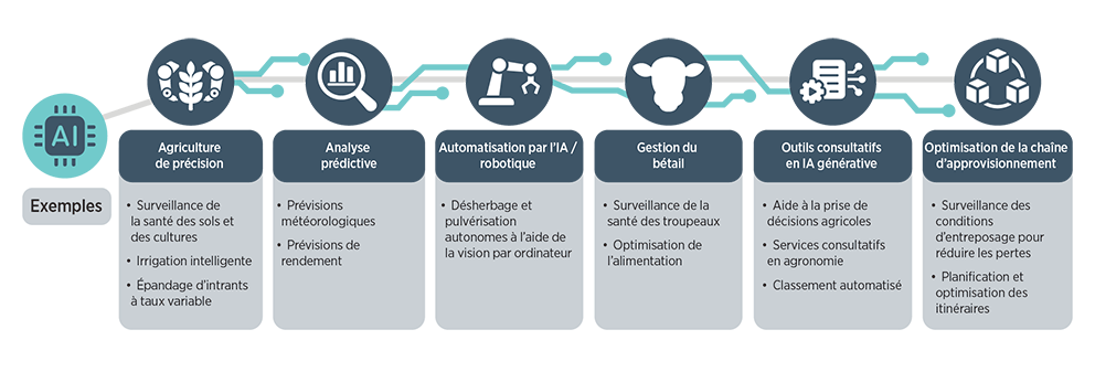 Exemples de mise en œuvre de l’IA dans l’agriculture canadienne.

Agriculture de précision: surveillance de la santé des sols et des cultures, irrigation intelligente, épandage d’intrants à taux variable.

Analyse prédictive: prévisions météorologiques, prévisions de rendement.

Automatisation par l’IA / robotique: désherbage et pulvérisation autonomes à l’aide de la vision par ordinateur.

Gestion du bétail: surveillance de la santé des troupeaux, optimisation de l’alimentation.

Outils consultatifs en IA générative: aide à la prise de décisions agricoles, services consultatifs en agronomie, classement automatisé.

Optimisation de la chaîne d’approvisionnement: surveillance des conditions d’entreposage pour réduire les pertes, planification et optimisation des itinéraires.
